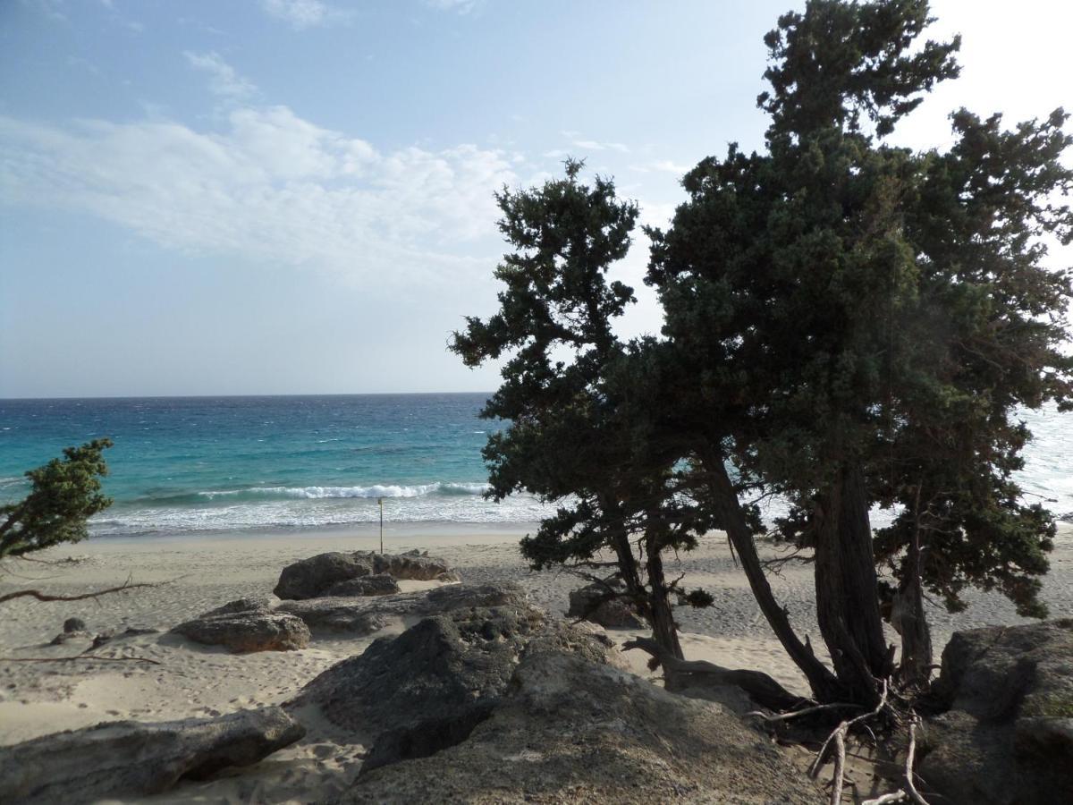Endless Blue Tatil Evi